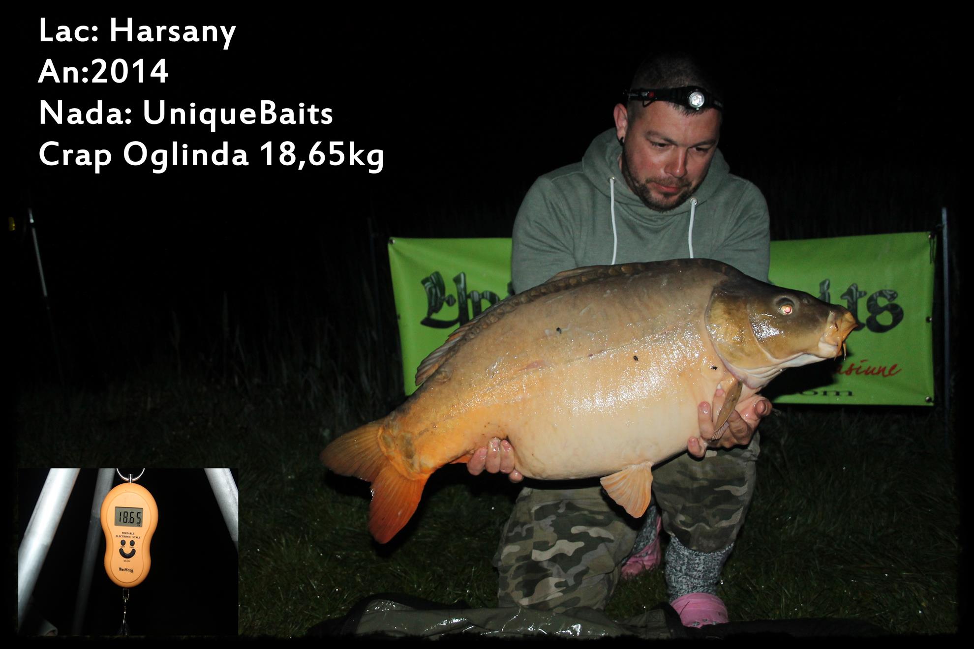 Recorduri... - 1865kg.JPG